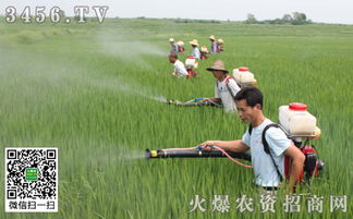 1. 注意农药的种类