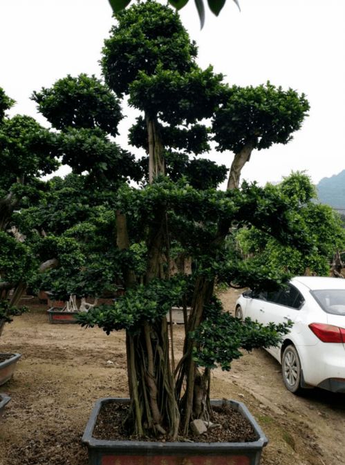 价格背后的秘密