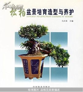 养护技巧，我来告诉你