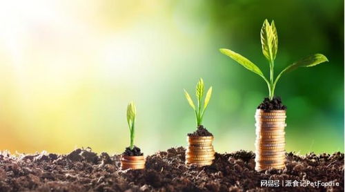 3. 实践案例与未来展望