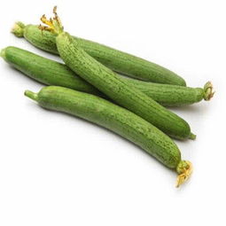 丝瓜Zui怕的除草剂种类