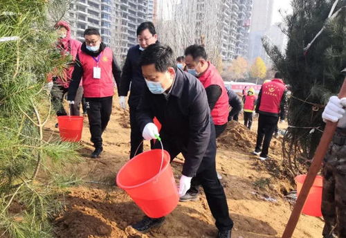 郑州巩义4000多人栽下25000多棵苗木，这些苗木成活率如何？