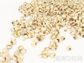 薏米种植方法与成本控制