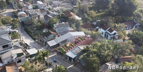 别墅庭院种菜的奇妙选择：既自给又美观