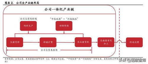 生猪产业纵向关联视角下产业链协同发展存在哪些瓶颈