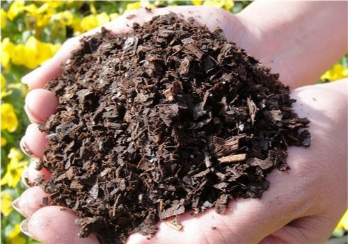 盆栽花卉土壤配方的秘密：腐叶土和珍珠岩的神奇组合