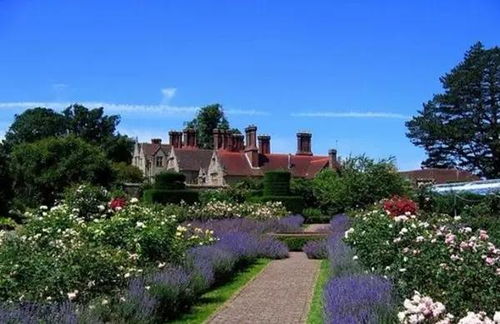 植物搭配的艺术
