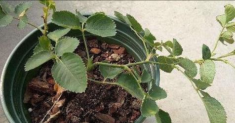 季节问题， 耐心等一等