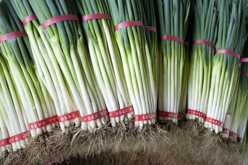 创新种子保存技巧：高效保鲜水稻的两种方法