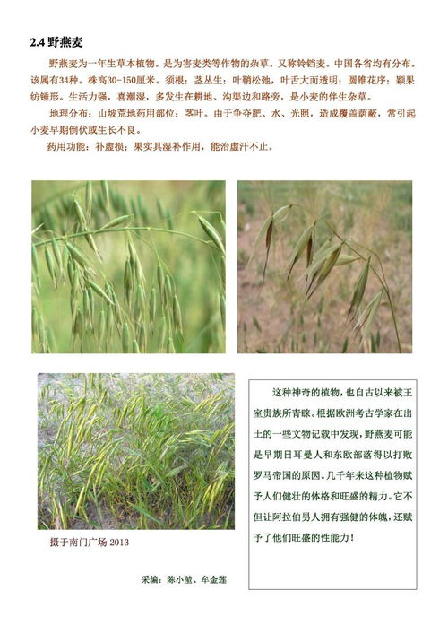 挑草如挑老婆， 得堪这五样