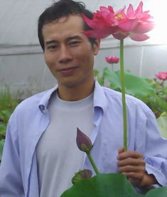 碗莲每天换水，这是为什么