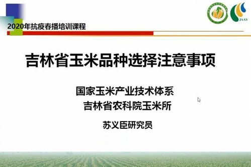 培养情商与爬藤的平衡