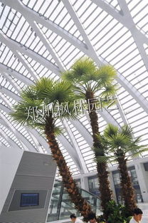 特殊需求应对方案