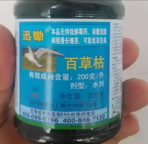 秋季百草枯的妙用