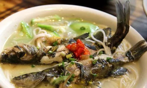 鱼粉是如何通过干燥、粉碎等加工步骤从鱼原料中提取而成的？