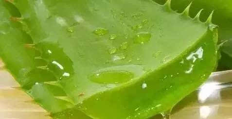 2. 芦荟水， 保湿好帮手