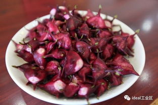 秋天 大自然的丰收盛宴