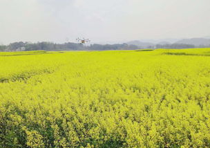 求助无门， 心里那个急
