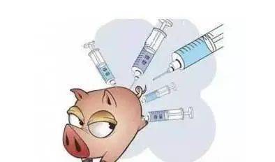 疫苗免疫效果不理想？先排查这九大细节