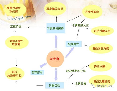 有益菌的定义和重要性