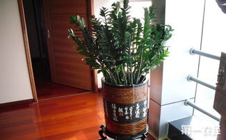 温度控制，冬暖夏凉