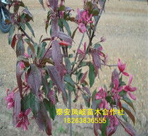 价格为何千变万化？