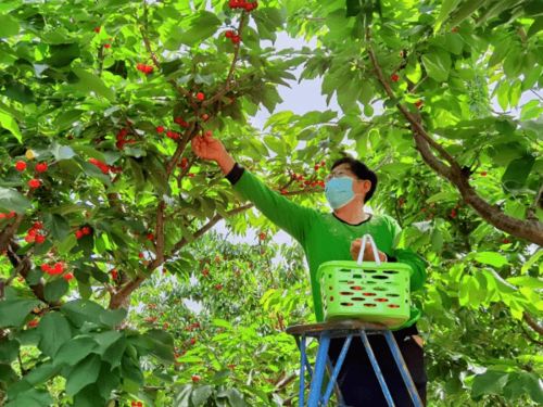 草种要相亲，土质是红娘