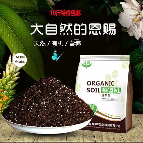 鹿沼土种花佳选，铺面不推荐！花卉种植必备土壤