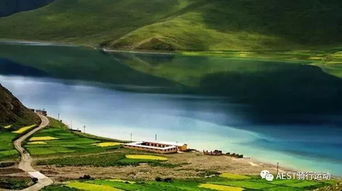 高原种植物：一场与自然的较量