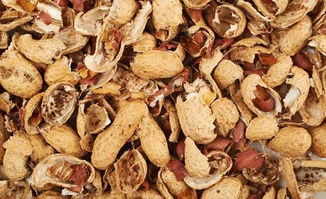 花生壳瓜子壳变宝，花卉肥料新选择