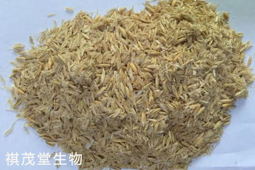 育肥猪喂什么料比较好，猪吃什么饲料营养最全面？