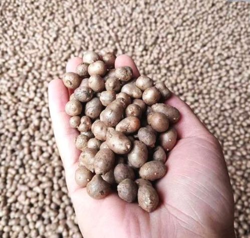 山药豆在哪个季节种植最为适宜？