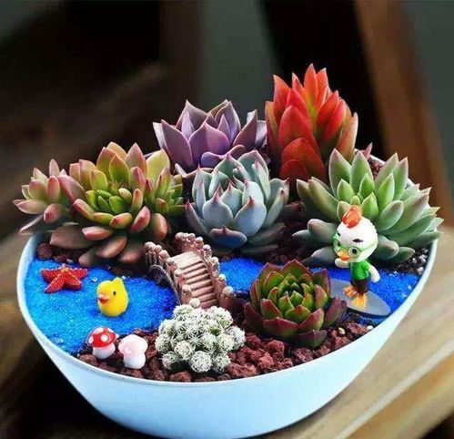 繁殖：见证生命的奇迹