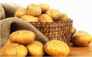 碧护马铃薯增产攻略：揭秘抗病高手