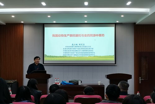 杨所长的中国农业科学院饲料研究所，在饲料研发领域有哪些独特优势？