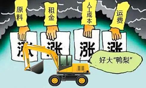 2026年猪饲料价格会持续上涨吗？养殖户如何应对成本压力？