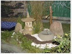 绿化作用，美不胜收