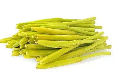 黄花菜繁殖最快的方法是什么？种植黄花菜需要注意哪些事项