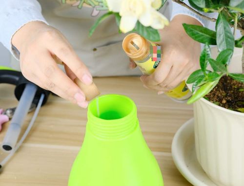 喷完杀虫剂，等会儿再浇吧！