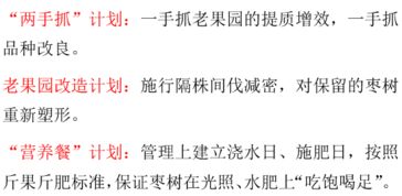 “木”为树之根，部首“双”嵌入