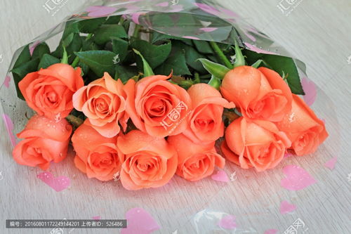 “11朵玫瑰花高清图片，哪里找