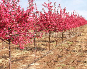 价格表， 我来帮你找找