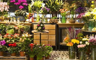 开花店利润空间大不大？