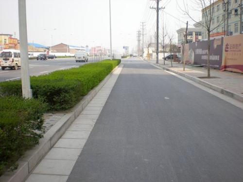 行道树的间距，到底有多少米？