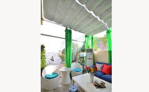 阳光房里种绿植， 家里像小花园