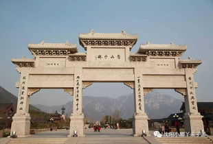 南阳：玉兰飘香， 历史悠长