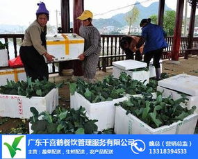 水稻、 小麦、小米、甜菜、西瓜等对乙草胺有反应