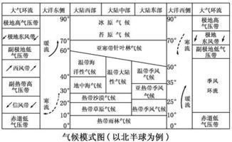 如何通过外观、气味和溶解度等特征准确辨别地鱼粉的真伪？