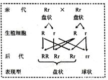 养护管理：呵护你的小树苗