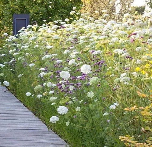 六、 花卉土壤的配制